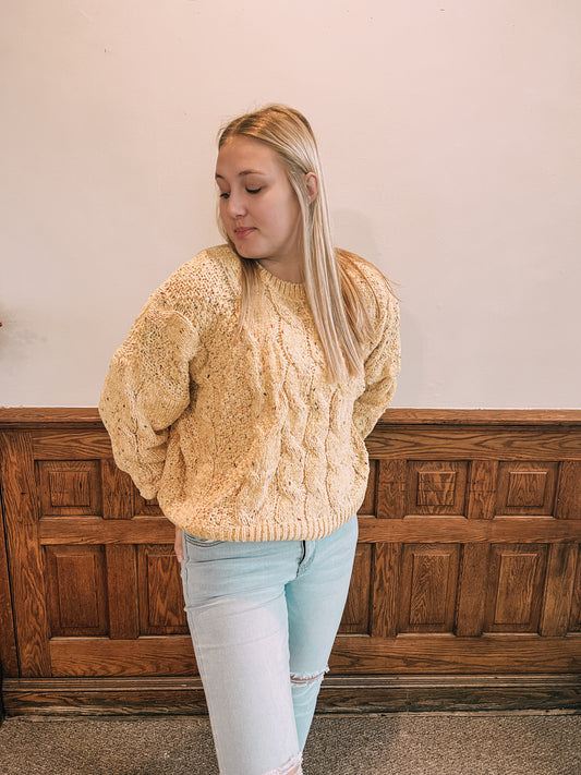 Confetti Cable Knit Sweater